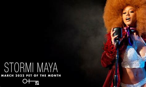 PENTHOUSE ANNOUNCES STORMI MAYA IS MARCH’S PET。